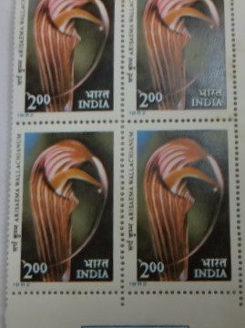 Arisaema wallachianu (Hinged gumwash Block of 4 TL)