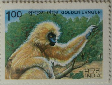 Indian wildlife: Golden Langur (Hinged/Gum washed stamp)