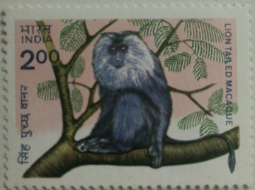 Indian wildlife: Lion-tailed Macaque (Hinged/Gum washed stamp)