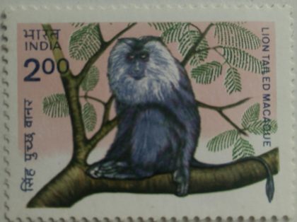 Indian wildlife: Lion-tailed Macaque  (Hinged/Gum washed stamp) | Indian Postage Stamps | Indian Coins | Old Indian Currency | Rare Indian Coins | Numismatic Collection India
