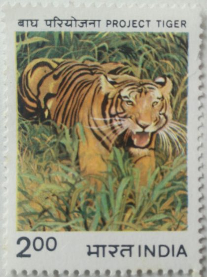 Project Tiger. Tiger, Wild Animal, Panthera Tigris Tigris, Protection Project,Rs. 2  (Hinged/Gum washed stamp) | Indian Postage Stamps | Indian Coins | Old Indian Currency | Rare Indian Coins | Numismatic Collection India
