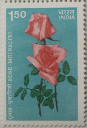 Indian Roses - Mrinalini. Rose, Flower, Botany, Hybrid Rose Rs. 1.50 (Hinged/Gum washed stamp)