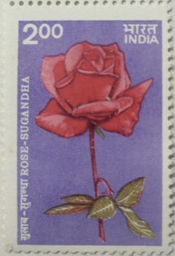 Indian Roses - Sugandha. Rose, Flower, Botany, Hybrid Rose Rs. 2 (Hinged/Gum washed stamp)