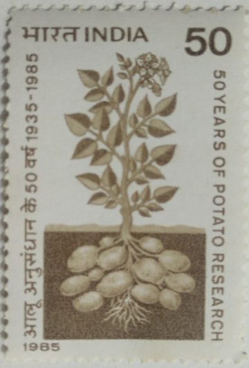 50 Years of Potato Research. Potato, Solanum tuberosum, Agricultural Research 50 P.  (Hinged/Gum washed stamp)