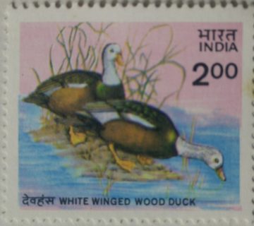 White Winged Wood Duck. Wood Duck, Bird, Asarcornis scutulata Rs. 2 (Hinged/Gum washed stamp)