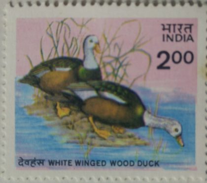 White Winged Wood Duck. Wood Duck, Bird, Asarcornis scutulata Rs. 2 - MNH Stamp | Indian Postage Stamps | Indian Coins | Old Indian Currency | Rare Indian Coins | Numismatic Collection India