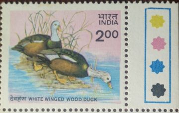 White Winged Wood Duck. Wood Duck, Bird, Asarcornis scutulata Rs. 2  (Traffic Light Stamp)