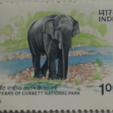50th Anniv.of Corbett National park , Elephus maximus Indian Elephant  (Hinged/Gum washed stamp)