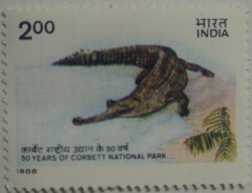 50th Anniv.of Corbett National park , Gavialis gangeticus Gharial (Hinged/Gum washed stamp)