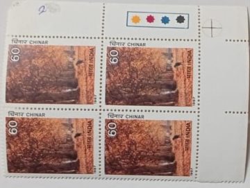 Indian Trees - latanus orientalis, chinar  (Block of 4 TL Stamp)