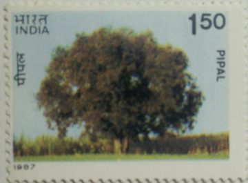 Indian Trees - Ficus religiosa Linn.pipal  (Hinged/Gum washed stamp)