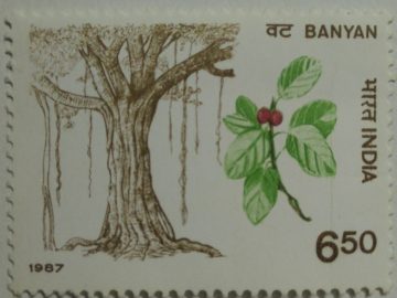 Indian Trees - Ficus bengalonsis  (Hinged/Gum washed stamp)