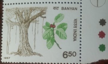 Indian Trees - Ficus bengalonsis (Traffic Light Stamp)