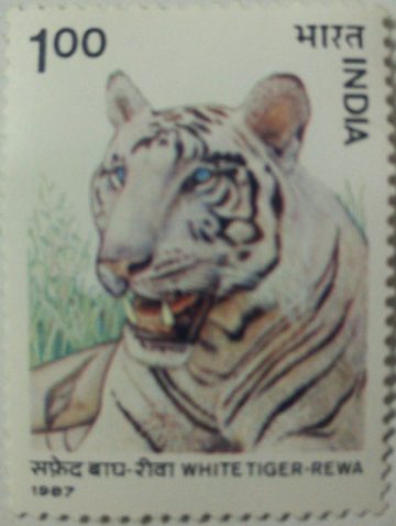 Wild life, White Tiger  (Hinged/Gum washed stamp)