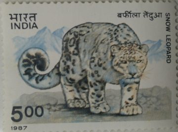 Wild life, Snow Leopard  (Hinged/Gum washed stamp)
