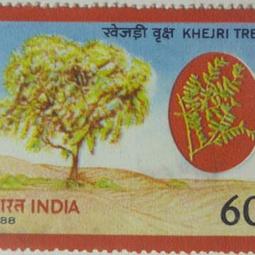 Khejri Tree Flowering Tree, Prosopis Cineraria, Loong Tree, Sami, Shami, Sumri 60 P. Commemorative  (Hinged/Gum washed stamp)
