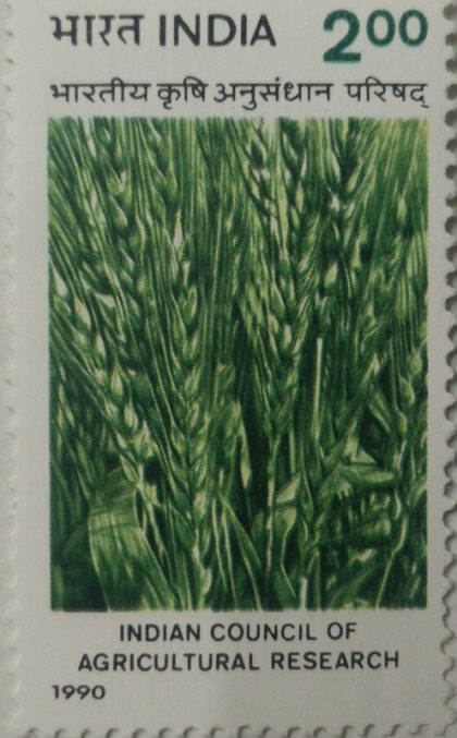 Indian Council of Agricultural Research Agriculture, Research, Wheat, Organisation, - MNH Stamp | Indian Postage Stamps | Indian Coins | Old Indian Currency | Rare Indian Coins | Numismatic Collection India