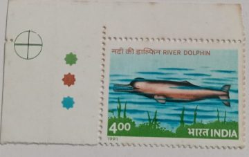 Endangered Marine MammalsPlatanista gangeticaRiver Dolphin (Hinged/Gum Wash)