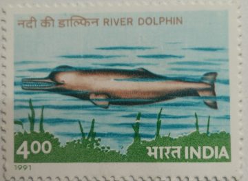 Endangered Marine Mammals, Platanista gangetica, River Dolphin - MNH Stamp
