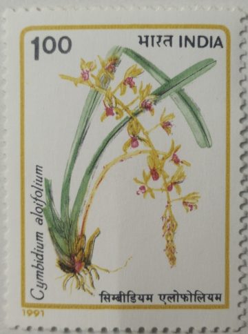 Orchids of India Orchid, Flowering Plant, Cymbidium aloifolium, Aloe-leafed Cymbidium - MNH Stamp