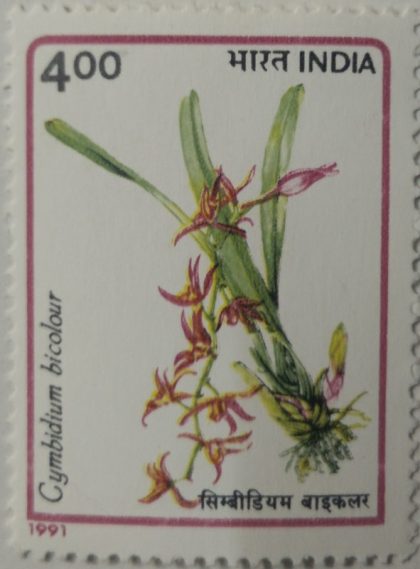Orchids of India Orchid, Flowering Plant, Cymbidium Bicolour, Two-Colored Cymbidium - MNH Stamp | Indian Postage Stamps | Indian Coins | Old Indian Currency | Rare Indian Coins | Numismatic Collection India