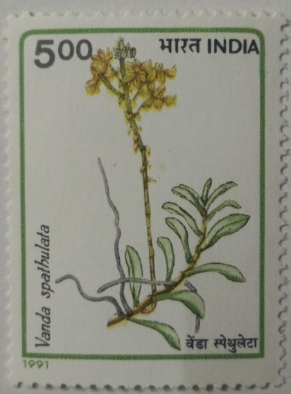 Orchids of Indiab Orchid Flowering Plant, Vanda spathulata - MNH Stamp | Indian Postage Stamps | Indian Coins | Old Indian Currency | Rare Indian Coins | Numismatic Collection India
