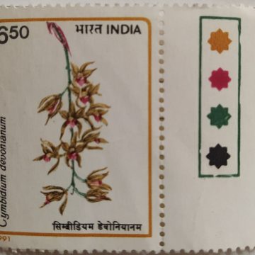 Sams Shopping Orchids of India Orchid, Flowering Plant, Cymbidium devonianum, Boat Orchids (Traffic Light Stamp)