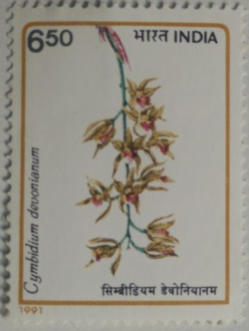 Orchids of India Orchid, Flowering Plant, Cymbidium devonianum, Boat Orchids  (Hinged/Gum washed stamp)