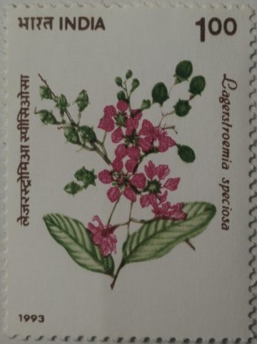 Indian Flowering Trees, Jarul, the Pride of India Tree - MNH Stamp