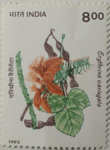 Indian Flowering Trees,Panjara, The Indian Coral Tree - MNH Stamp