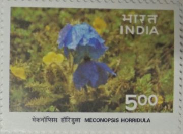 Himalayan Ecology,saussurea simpsoniana, phen kamal - MNH Stamp
