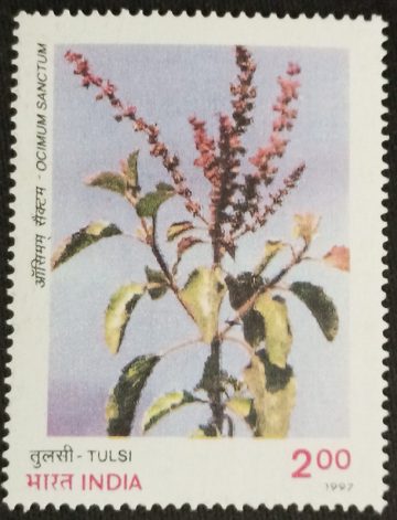 Indian Medicinal Plants Tulsi_Cut Setenant