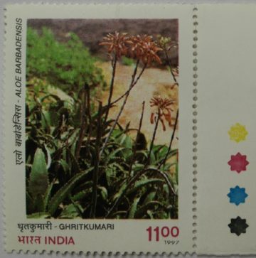 Haridra (Traffic Light Stamp)