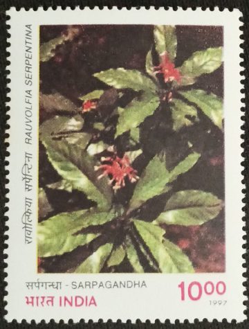 Indian Medicinal Plants Sarpagandha_Cut Setenant