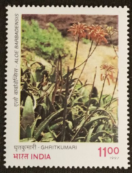 Indian Medicinal Plants Ghritkumari_Cut Setenant | Indian Postage Stamps | Indian Coins | Old Indian Currency | Rare Indian Coins | Numismatic Collection India