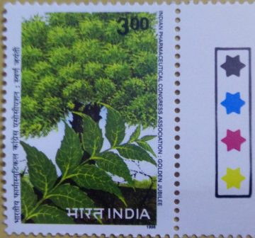 Neem Tree & Leaves (Traffic Light Stamp)