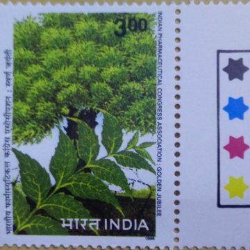 Neem Tree & Leaves (Traffic Light Stamp)