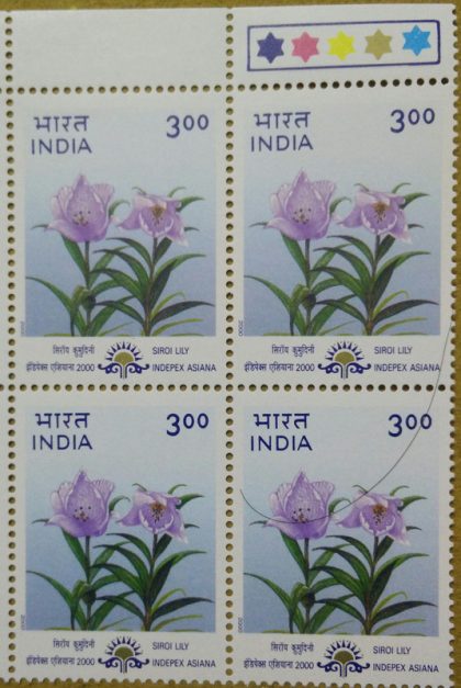 "Indepex-Asiana 2000";Lilium macklinae(Block of 4 TL Stamp) | Indian Postage Stamps | Indian Coins | Old Indian Currency | Rare Indian Coins | Numismatic Collection India