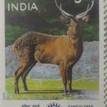 Indepex-Asiana 2000 Cervus eldi  (Hinged/Gum washed stamp)