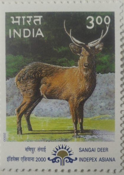 "Indepex-Asiana 2000";Cervus eldi  (Hinged/Gum washed stamp) | Indian Postage Stamps | Indian Coins | Old Indian Currency | Rare Indian Coins | Numismatic Collection India