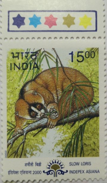 Nycticebus coucang (Traffic Light Stamp)