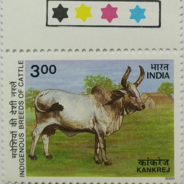 Kankrej Gujarat (Traffic Light Stamp)