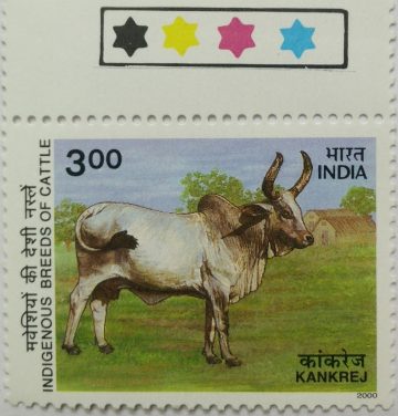 Kankrej Gujarat (Traffic Light Stamp)