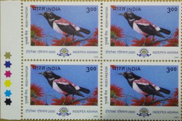 Roy Pastor Migratory Birds Thematic Indepex Asiana 2000 Rs.3(Block of 4 TL Stamp)