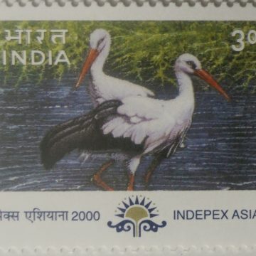 White stork Migratory Birds Thematic Indepex Asiana 2000 Rs.3 (Hinged/Gum washed stamp)