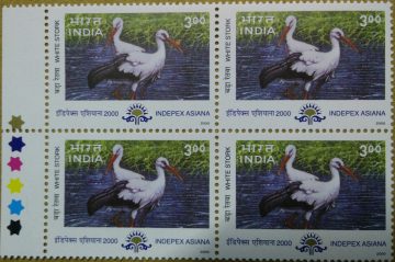 White stork Migratory Birds Thematic Indepex Asiana 2000 Rs.3(Block of 4 TL Stamp)