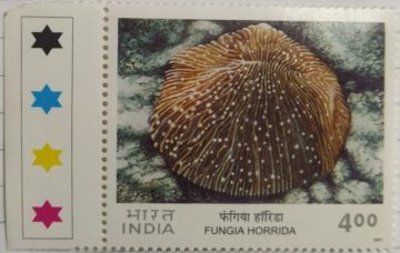 Corals of India , Mushroom Coral (Fungia Horrida) (Traffic Light Stamp)