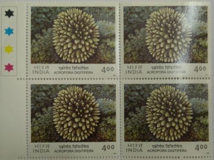 Acropora Digitifera(Block of 4 TL Stamp) | Indian Postage Stamps | Indian Coins | Old Indian Currency | Rare Indian Coins | Numismatic Collection India