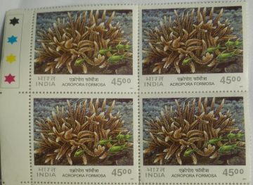 Staghorn Coral(Block of 4 TL Stamp)
