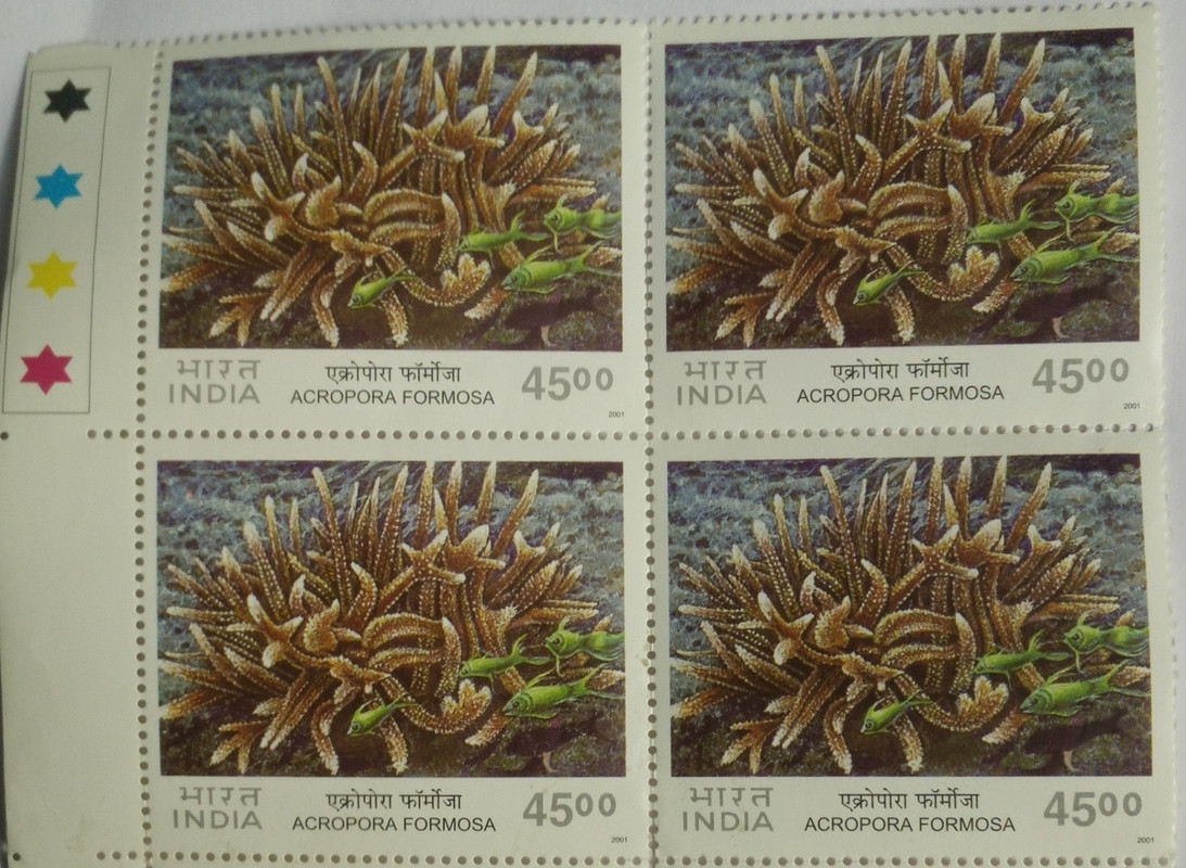 Staghorn Coral(Block of 4 TL Stamp)